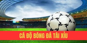 cá độ bóng đá tài xỉu